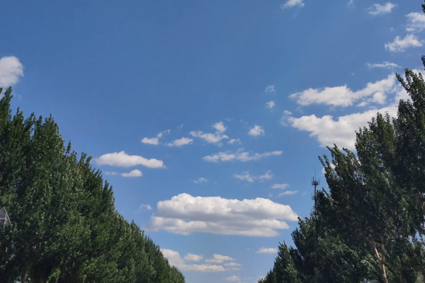 孕妇可以去沈阳墓地给亲人上坟吗