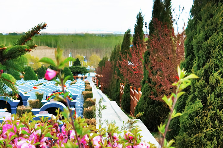 在沈阳龙生公墓墓地葬礼中，需要注意哪些礼仪？