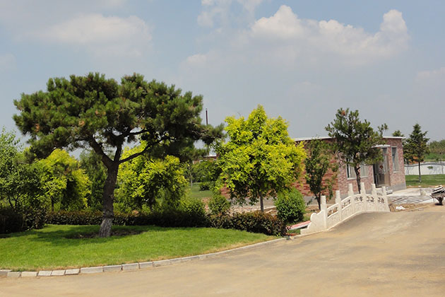 如何选择沈阳十佳墓园才好？