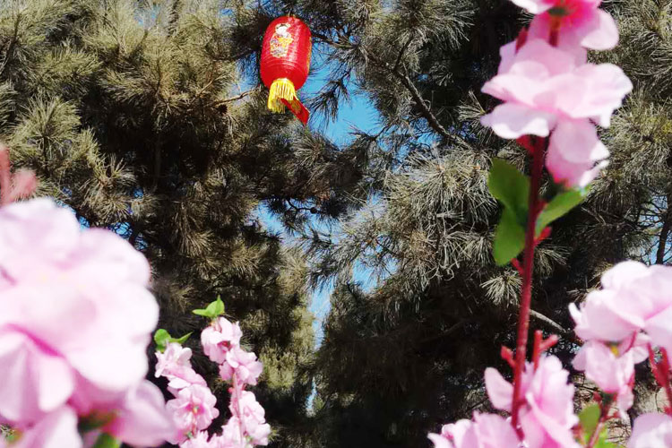 沈阳陵园花园式公墓应遵循的原则