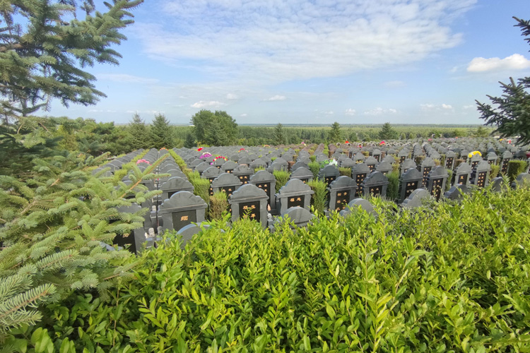 沈阳公墓的纪念活动