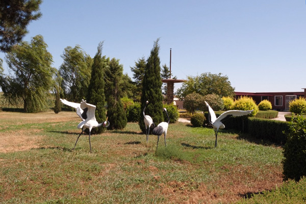 沈阳公墓朝阳位置注意事项? 沈阳公墓朝阳位置注意事项?