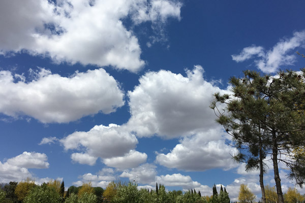 怎么选择沈阳陵园?需要了解哪些知识 怎么选择沈阳陵园?需要了解哪些知识