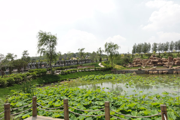 沈阳墓地在同一个墓区又如何选择位置呢？