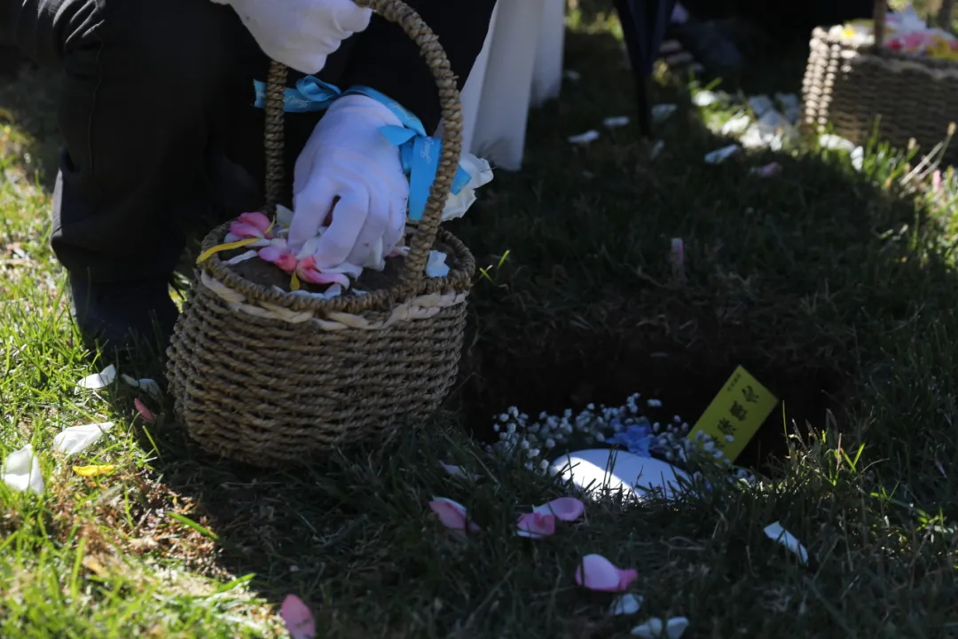 沈阳墓园绿色生命,沈阳陵园唯爱永恒|龙生墓园第四届节地生态草坪葬报名征集中