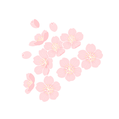 沈阳龙生人文生态墓园元旦祭礼|追养继孝，祭之以诚