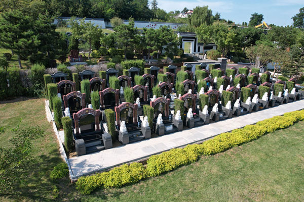 沈阳陵园清明节祭祀指南：了解规定，准备用品，确保顺利