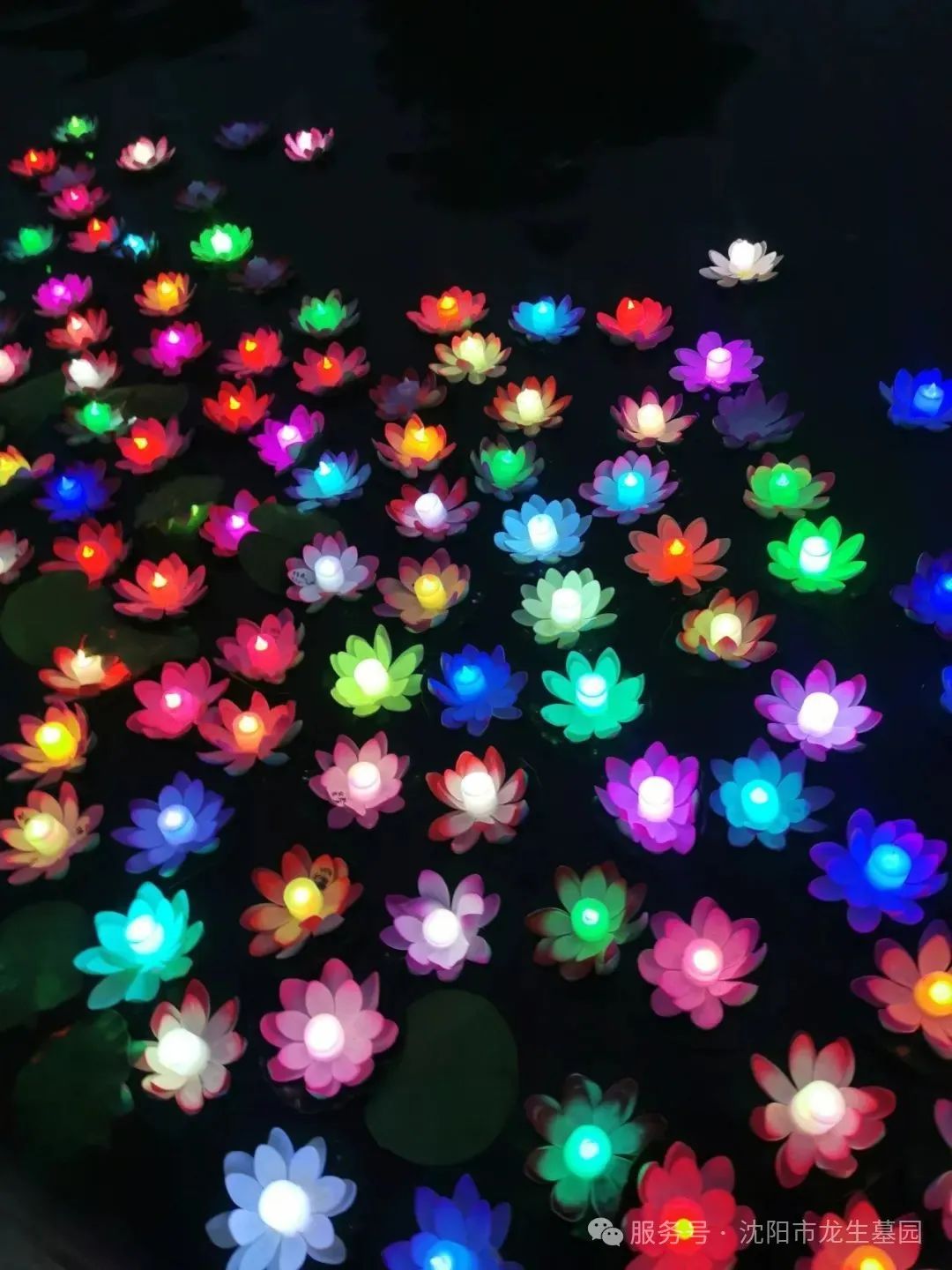 “心香遥寄，灯火传情