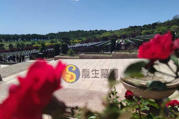 沈阳墓园精选