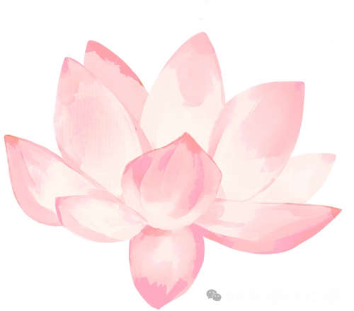 “心香遥寄，灯火传情