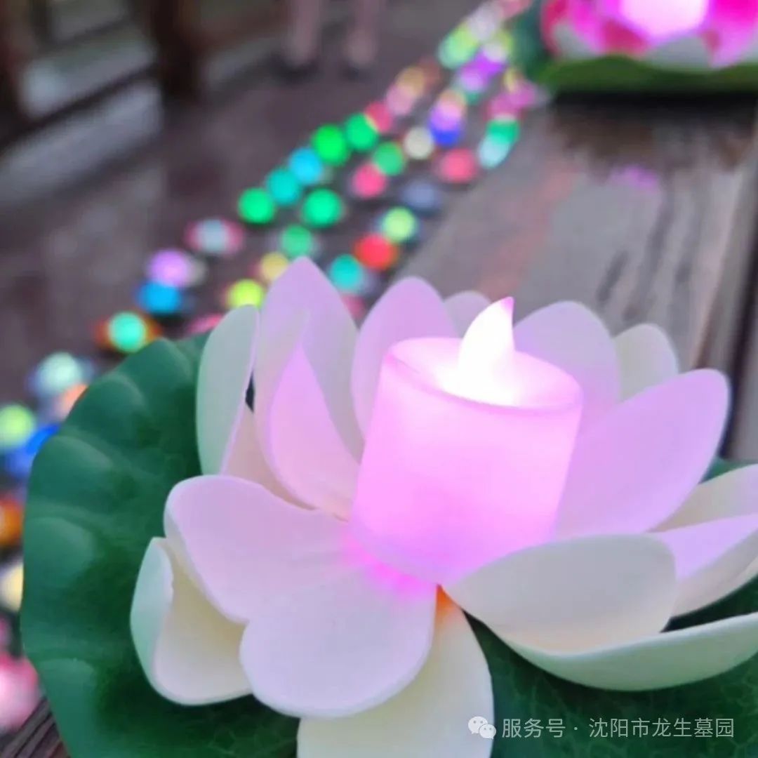 “心香遥寄，灯火传情