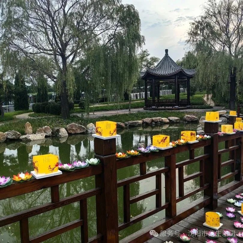 “心香遥寄，灯火传情