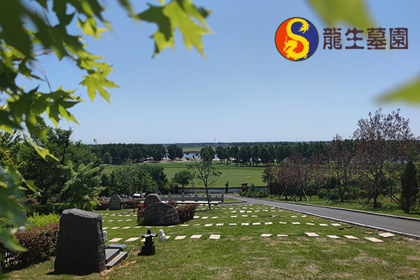 沈阳公墓生态安葬服务现状：政策与设施双解析