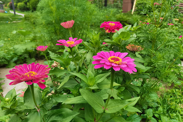 使用私家车跨省运送骨灰可以吗？沈阳十佳墓园龙生墓园为您揭晓答案