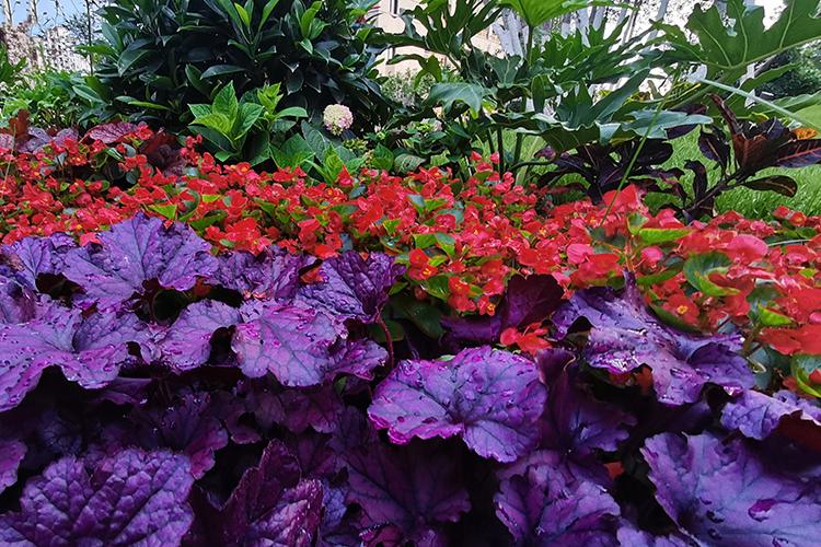 选择沈阳龙生墓园,享受山环水抱、万木吐翠的现代林园墓地!