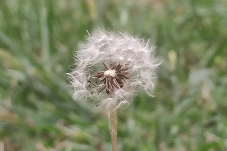 龙生墓园认识殡葬