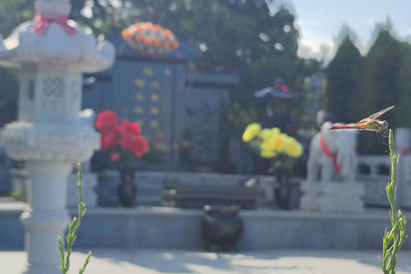 沈阳公墓陵园设计：融入自然与人文之美