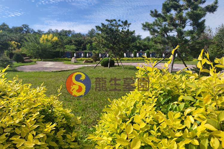 沈阳龙生墓园 沈阳龙生墓园