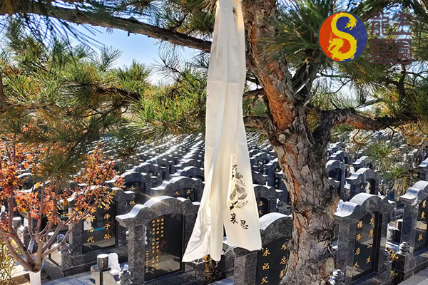 ​沈阳公墓价格揭秘：龙生人文纪念园购墓指导服务全解析