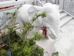 沈阳龙生墓园的白象在风水中有何作用