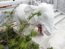 沈阳墓园|龙生瑞兽，玉石白象雕塑