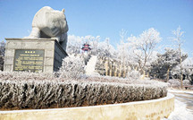 沈阳龙生墓园|犀牛望月雕塑，大雪中的回望
