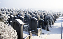 沈阳墓园|选墓地有什么讲究？龙生墓园告诉你选择墓地的注意事项