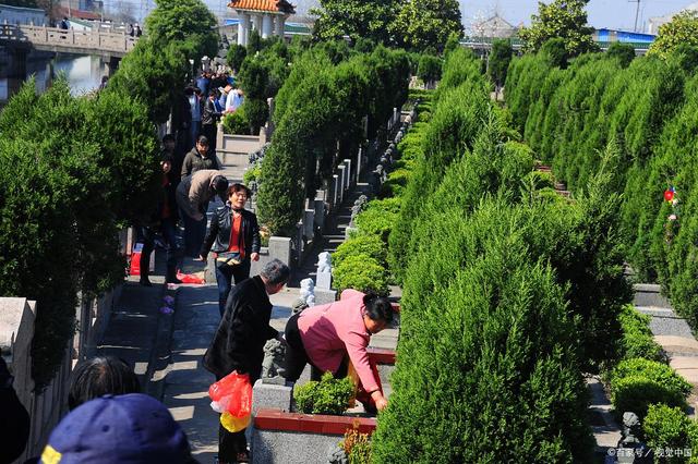 南京暂停清明现场祭扫：不是不过清明节，是换种方式过