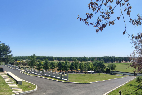 家属如何前往沈阳龙生墓园？有哪些推荐的交通方式？