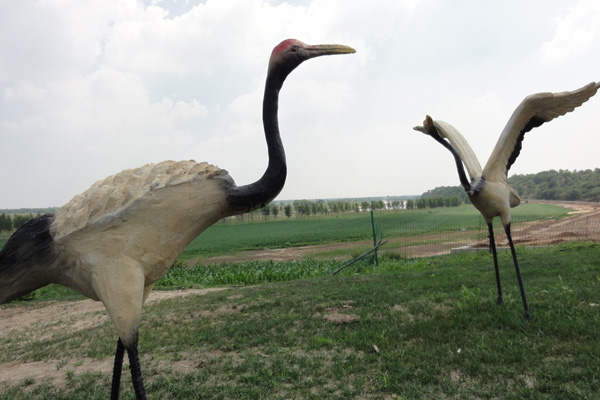 沈阳陵园殡葬服务项目详解：从资料收集到墓地维护，一应俱全