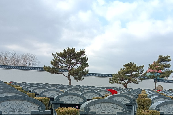 沈阳墓园的选墓流程是怎样的？从预约参观到完成安葬有哪些步骤？