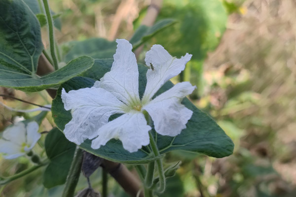 沈阳墓园服务详解：从选择到安葬的全程陪伴