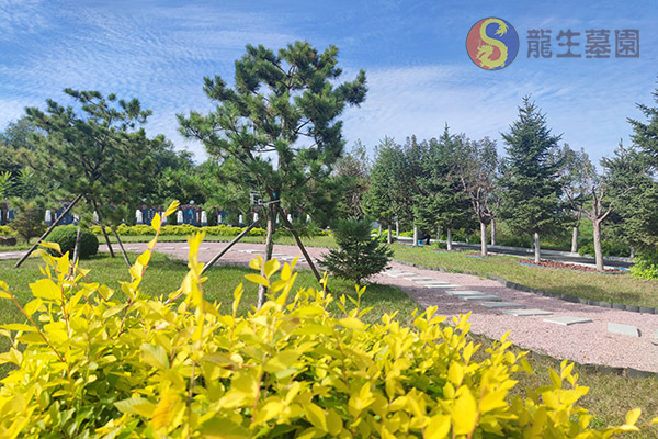 沈阳陵园选购骨灰盒有哪些注意事项？