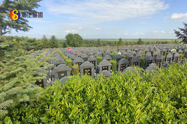 沈阳陵园选择：如何根据需求挑选合适的安息地？