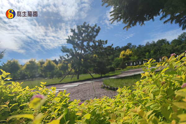 迁坟流程？沈阳墓地迁坟完整操作程序与注意事项